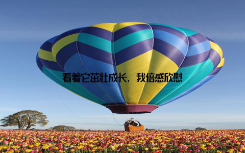 看着它茁壮成长, 我倍感欣慰