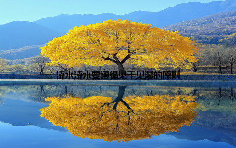 浇水浇水要遵循见干见湿的原则