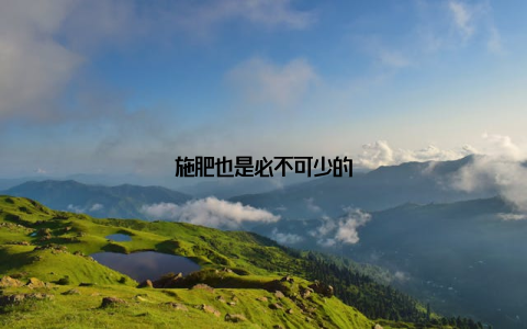 施肥也是必不可少的