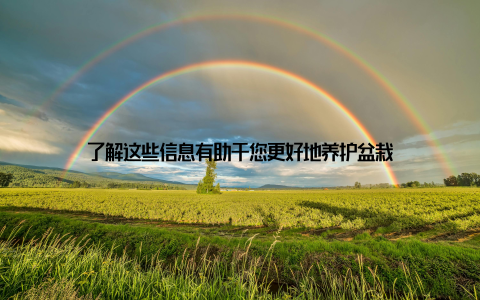 了解这些信息有助于您更好地养护盆栽