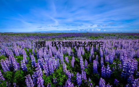 但是, 我不知道该怎么养护它