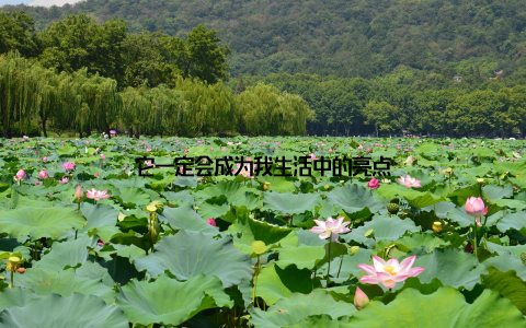 它一定会成为我生活中的亮点