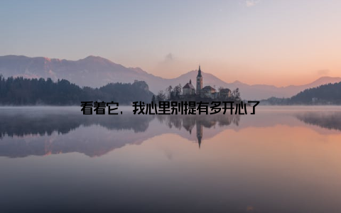 看着它, 我心里别提有多开心了