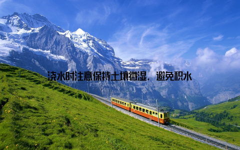 浇水时注意保持土壤微湿, 避免积水