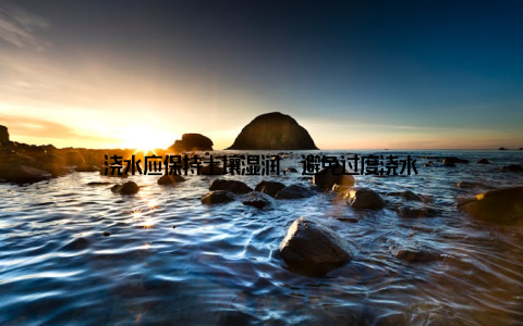 浇水应保持土壤湿润, 避免过度浇水