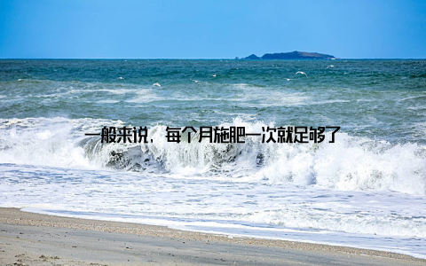 一般来说, 每个月施肥一次就足够了