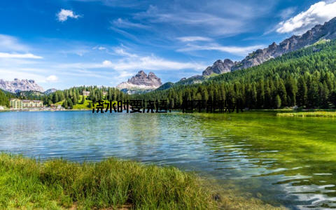 浇水时要浇透, 但不能积水
