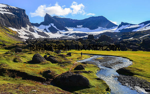 这种顽强生命力, 让人不禁为之赞叹