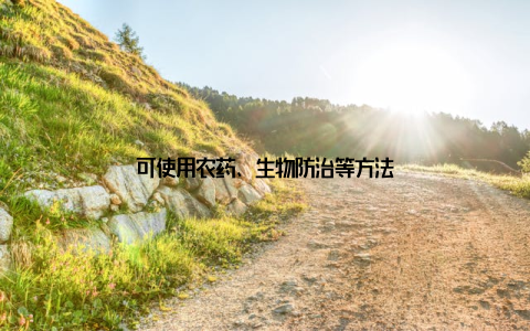 可使用农药、生物防治等方法