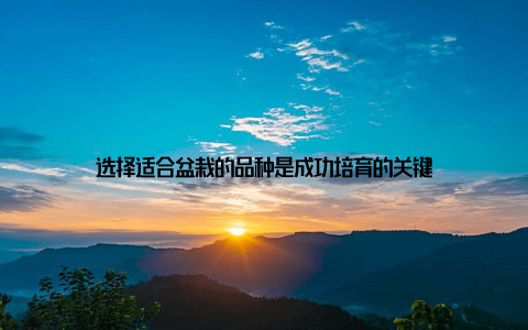 选择适合盆栽的品种是成功培育的关键