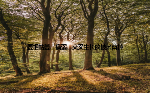 要把枯萎、病弱、交叉生长的枝条剪掉