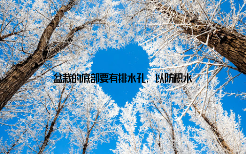 盆栽的底部要有排水孔, 以防积水