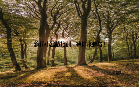 缤纷小盆栽培训, 等你来参与!