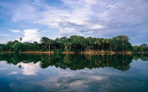 罗汉松每3个月施一次复合肥