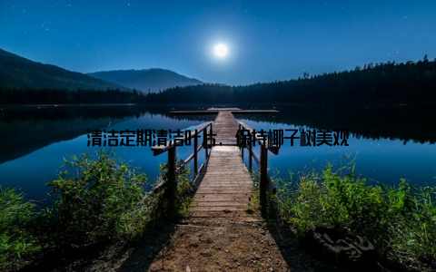 清洁定期清洁叶片, 保持椰子树美观