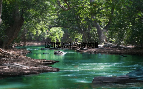 这可是养好它们的关键