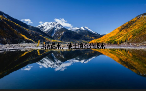 3浇透水, 使土壤充分吸水