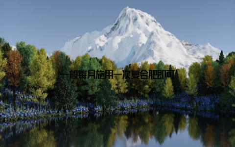 一般每月施用一次复合肥即可