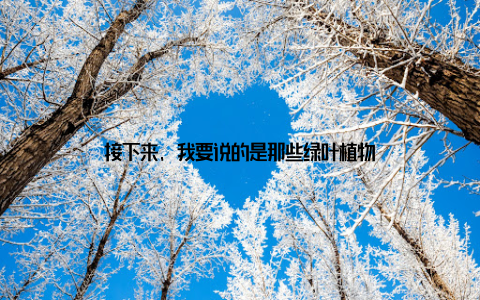 接下来, 我要说的是那些绿叶植物