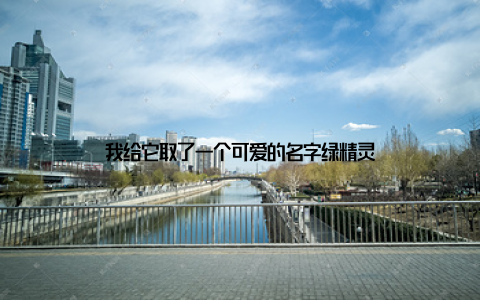 我给它取了一个可爱的名字绿精灵