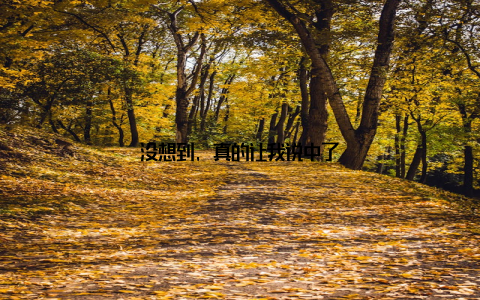没想到, 真的让我说中了