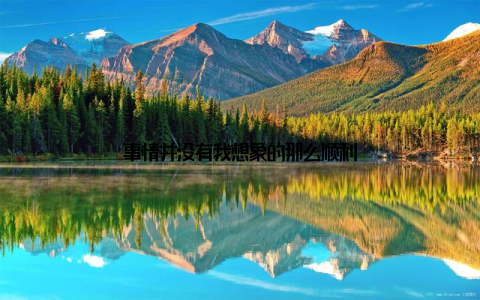 事情并没有我想象的那么顺利