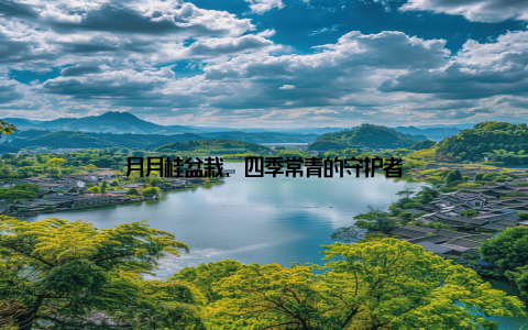 月月桂盆栽, 四季常青的守护者