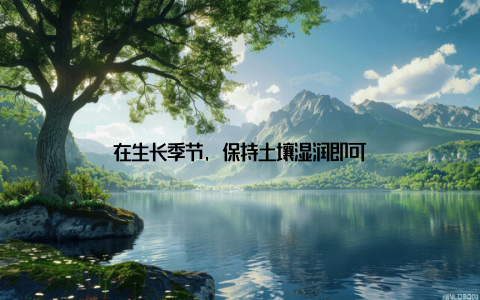 在生长季节, 保持土壤湿润即可