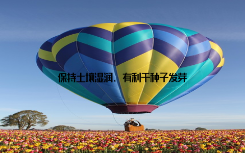 保持土壤湿润, 有利于种子发芽