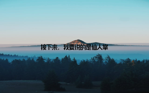 接下来, 我要说的是仙人掌