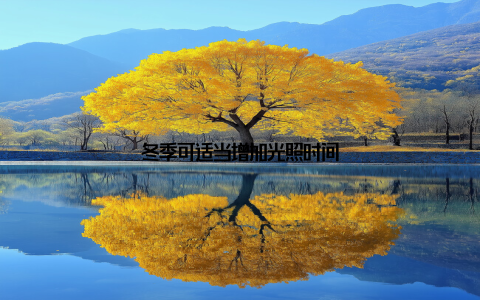 冬季可适当增加光照时间