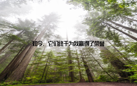 如今, 它们终于为我赢得了荣誉