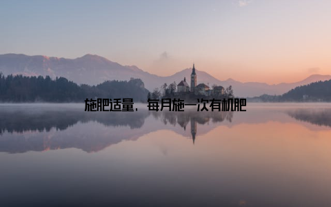 施肥适量, 每月施一次有机肥