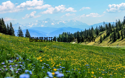 即使是养花小白, 也能轻松驾驭