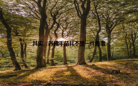 其实, 养佛手苗并不是一件难事