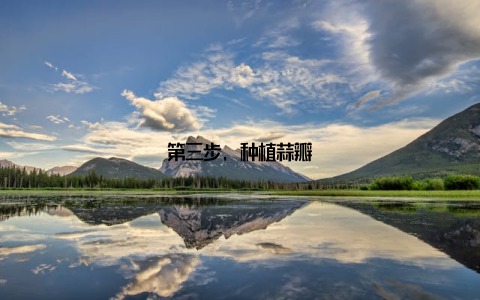 第三步, 种植蒜瓣