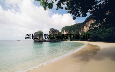 腐叶土、泥炭土等都是不错的选择