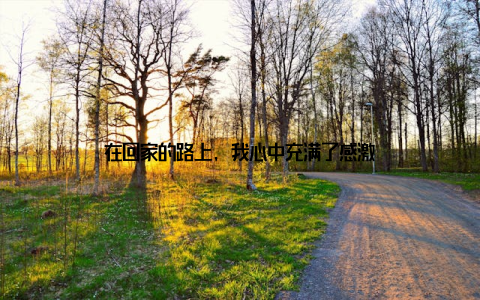 在回家的路上, 我心中充满了感激