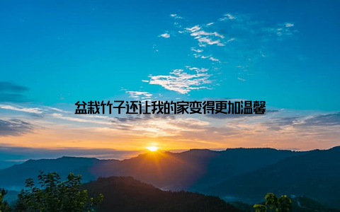 盆栽竹子还让我的家变得更加温馨