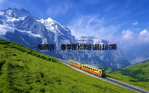 一般而言, 春季是修剪的最佳时期