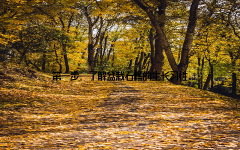 第一步, 了解盆栽石榴的生长习性