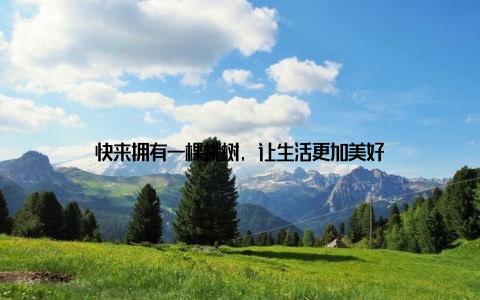 快来拥有一棵桃树, 让生活更加美好