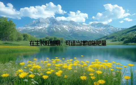 在生长旺盛期, 可适当增加施肥量