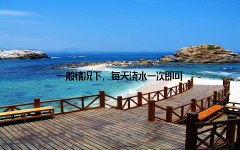 一般情况下, 每天浇水一次即可