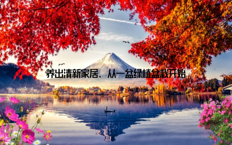 养出清新家居, 从一盆绿植盆栽开始