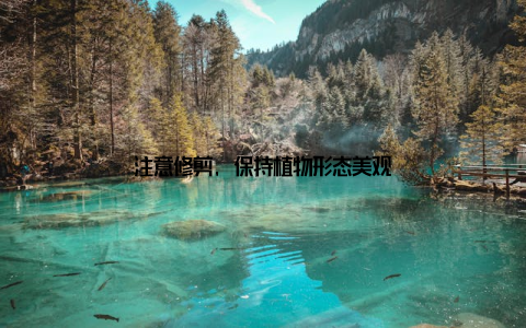 注意修剪, 保持植物形态美观