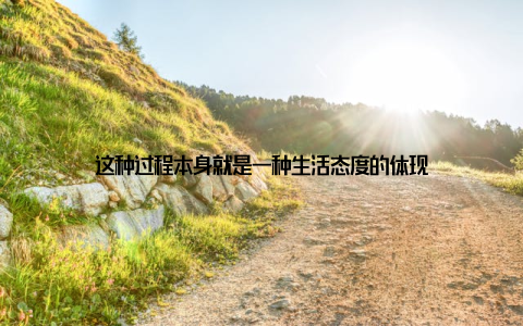 这种过程本身就是一种生活态度的体现