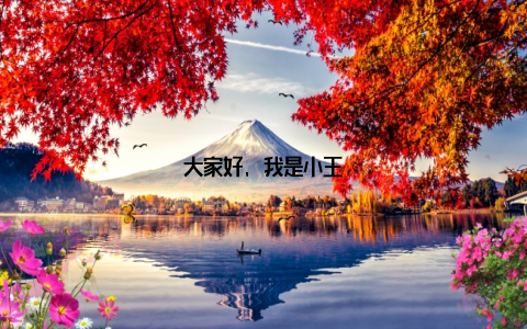 大家好, 我是小王