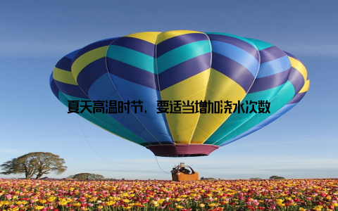 夏天高温时节, 要适当增加浇水次数