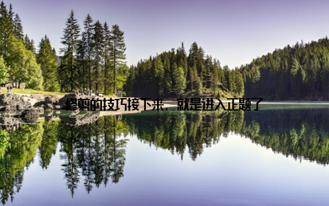 修剪的技巧接下来, 就是进入正题了